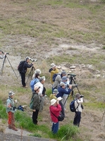 DSC06987-S-S.jpg