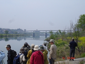 DSC06994-S.jpg