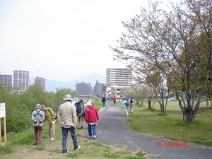 DSC07002-S.jpg