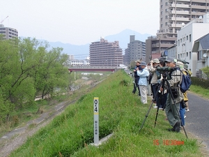 DSC07007-S.jpg