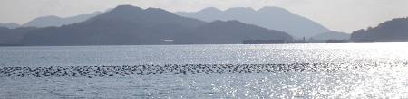 DSC07073-T.jpg