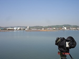DSC07272-T.jpg