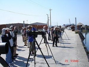 DSC07273-T.jpg