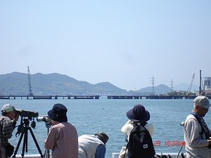 DSC07281-T.jpg