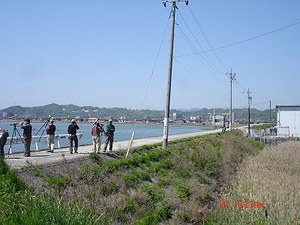 DSC07282-T.jpg
