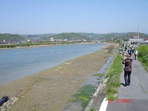 DSC07295-T.jpg