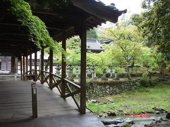 DSC07469-T.jpg