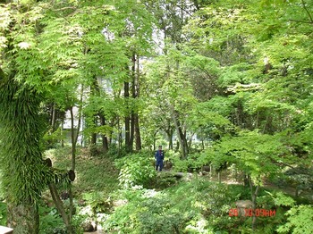 DSC07641_M.jpg