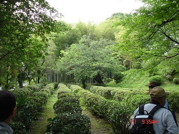 DSC07651_M.jpg