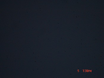 DSC08383-T.jpg