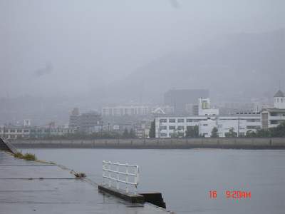 DSC08931-S.jpg
