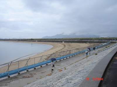 DSC08934-S.jpg