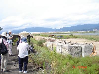 DSC08955-S.jpg