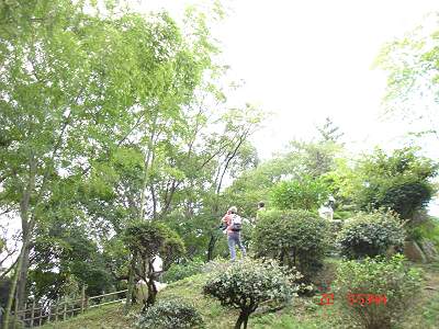 DSC08977-S.jpg