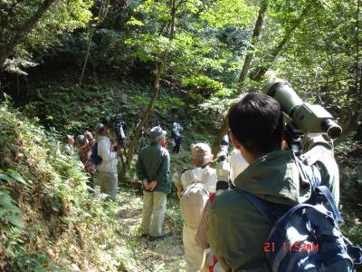 DSC09284_T.jpg