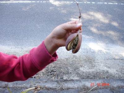 DSC09294_T.jpg