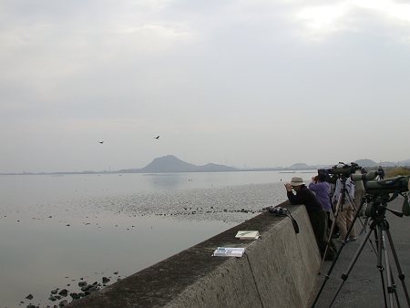 DSCN4554-T.jpg