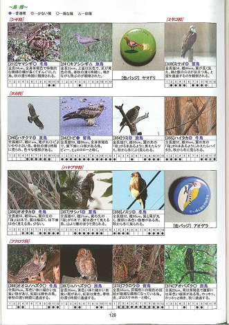 生き物図鑑 鳥ページ_M.jpg