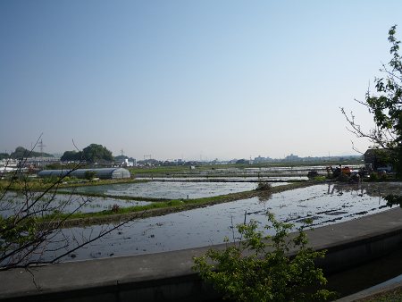 IMGP0805-T.jpg
