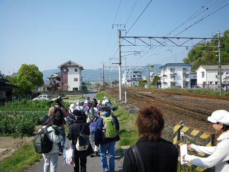 IMGP0811-T.jpg
