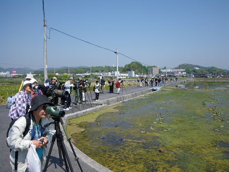 IMGP0819-T.jpg