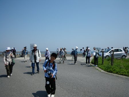 IMGP0839-T.jpg