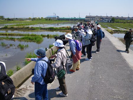 IMGP0843-T.jpg