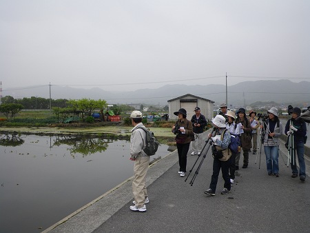 IMGP1209-T.JPG