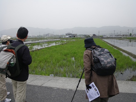 IMGP1216-T.JPG