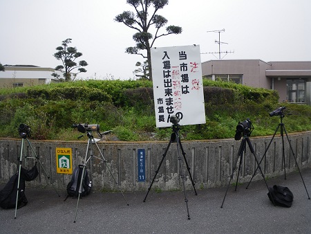 IMGP1218-T.JPG