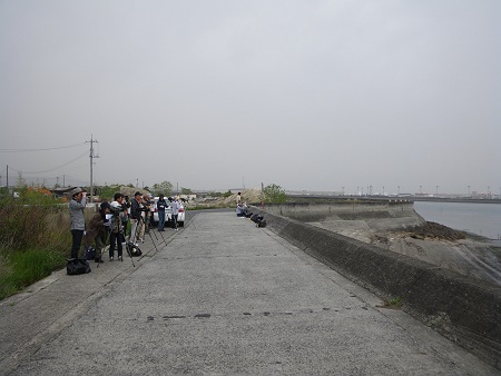 IMGP1223-T.JPG