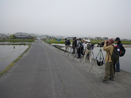 IMGP1228-T.JPG