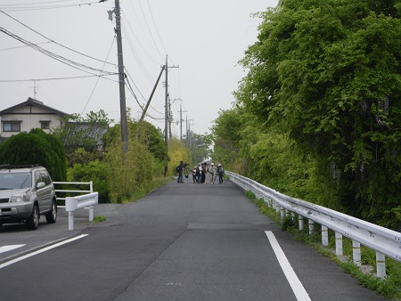 IMGP1229-T.JPG