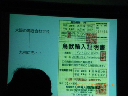 IMGP1885-T.jpg