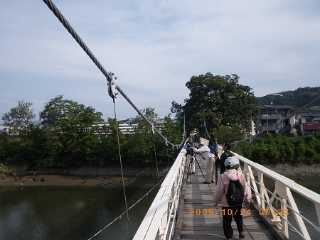 IMGP1935-T.jpg