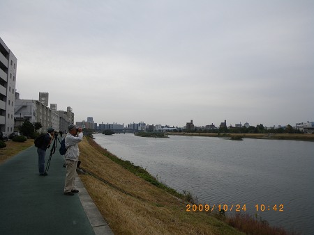 IMGP1942-T.jpg