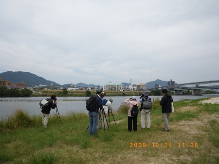 IMGP1946-T.jpg