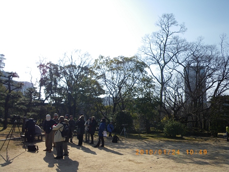 IMGP2095-T.jpg