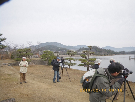 IMGP2174-T.jpg