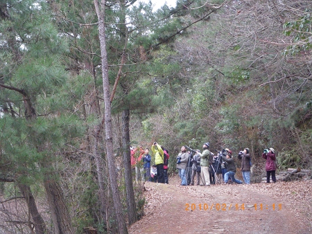 IMGP2177-T.jpg