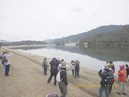 IMGP2182-T.jpg