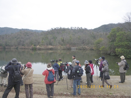 IMGP2184-T.jpg