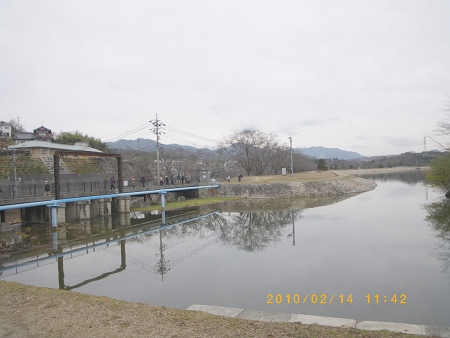 IMGP2186-T.jpg