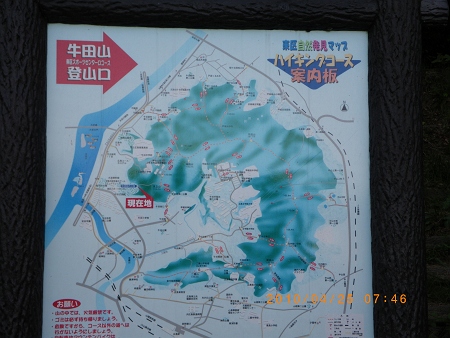 IMGP2262-T.jpg