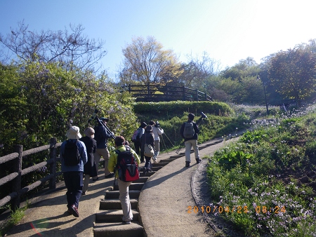 IMGP2269-T.jpg