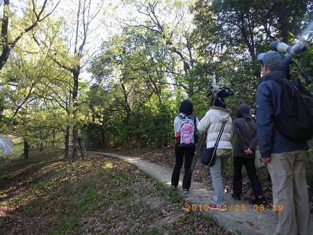 IMGP2284-T.jpg