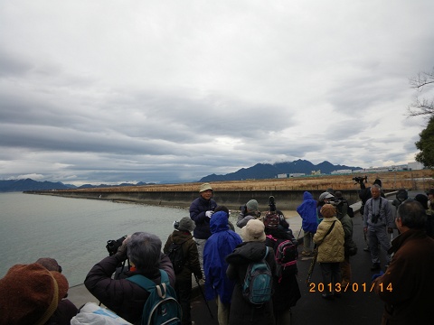IMGP2387_s.JPG