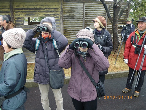 IMGP2390_s.JPG