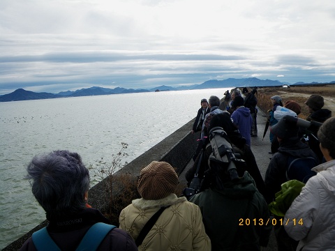 IMGP2406_s.JPG