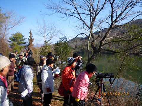 IMGP2497_s.JPG